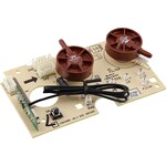 1181336023