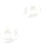 1521220036_2