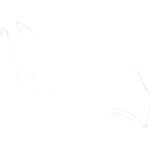 2232027025