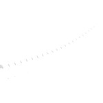 2248312031_1