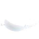 531010575425_1