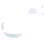 531010575425_2