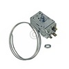 ALT-10029064_2
