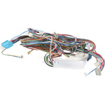 BO-00496935