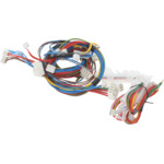 BO-00647387